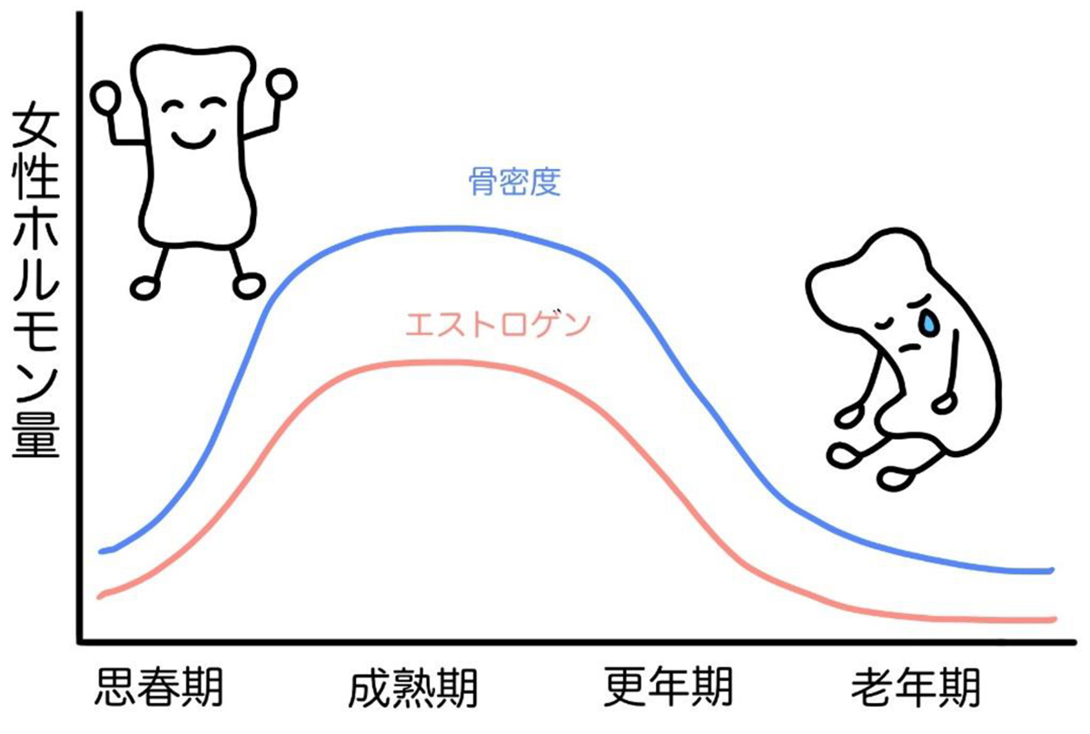 骨粗しょう症データ