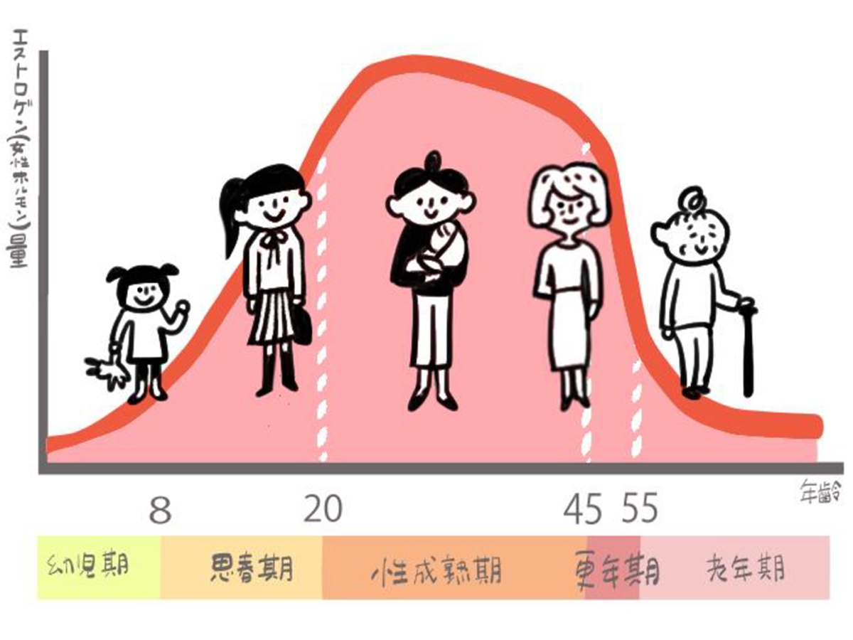 更年期データ画像